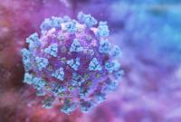 Почему тест-исследования на коронавирус не всегда достоверны