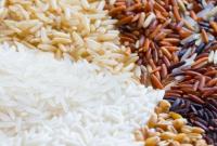 20 сентября отмечается Всемирный день риса
