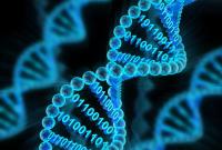 Ученые создали прототип процессора на основе молекул ДНК