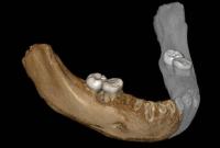 В Тибете нашли останки древнего вида людей