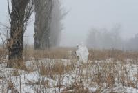 ВСУ понесли потери на Донбассе: террористы убили бойца 1999 года рождения