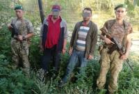 Пограничники задержали нелегалов из Турции