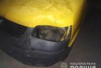Водитель под Черниговом сбил насмерть девятиклассницу и скрылся