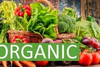 В Україні запрацює реєстр виробників органічної продукції