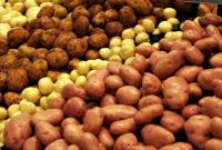 В Україні знову подорожчала картопля